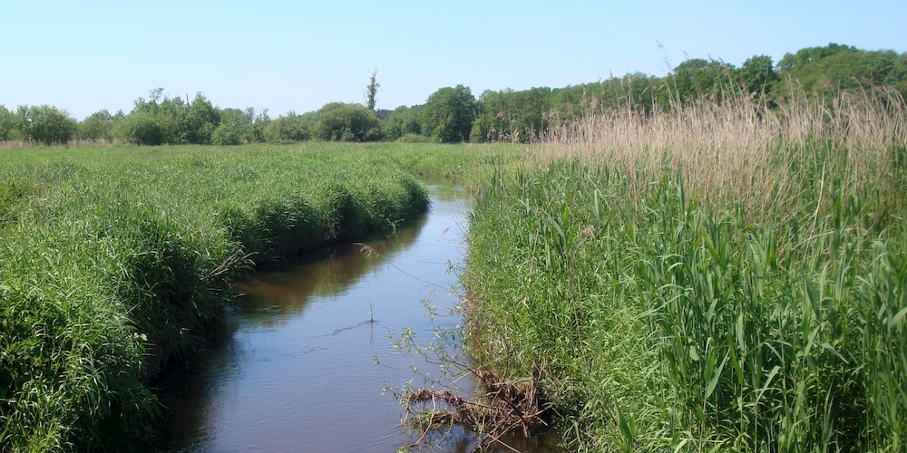Das Tal der Aue bei Harsefeld